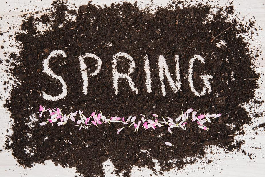 Happy Spring-time!